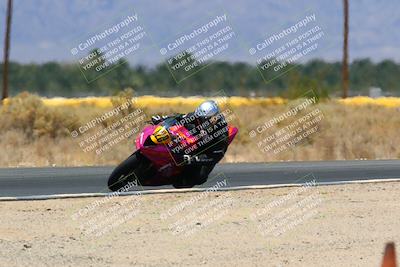 media/May-14-2022-SoCal Trackdays (Sat) [[7b6169074d]]/Turn 16 (1230pm)/